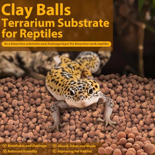 2 LB Organic Expanded Clay Balls Terrarium Substrate for Reptiles | Drainage & Humidity Control, Reusable Leca Balls for Bioactive Setups, Reptile Enclosures, Hydroponics, Aquaponics & Plants - color: 2LBS