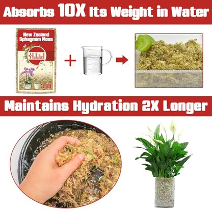 Halatool Premium New Zealand Sphagnum Moss, 500g (40L When Hydrated) | Long Fiber, Retain Moisture, Moss for Orchid Repotting, Succulents, Sarracenia, Potted Plants, Gardening & Reptiles - size: 40L