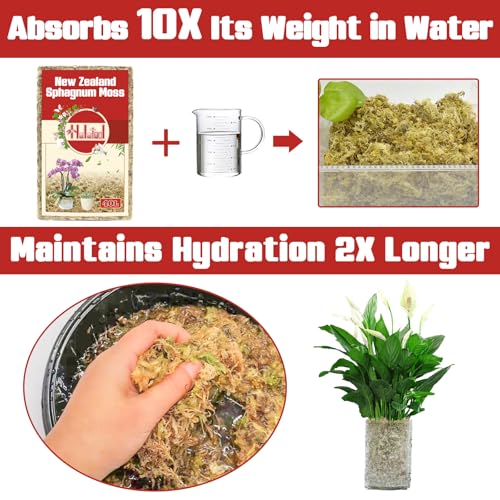 Halatool Premium New Zealand Sphagnum Moss, 100g (8L When Hydrated) | Long Fiber, Retain Moisture, Moss for Orchid Repotting, Succulents, Sarracenia, Potted Plants, Gardening & Reptiles - size: 8L
