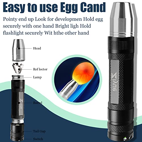 Egg Candler Light Rechargeable USB Eggs Candling Tester | Candling light for chicken eggs, egg checker incubator 5 modes, USB charging, for chicken duck quail dark eggs. - color: Black