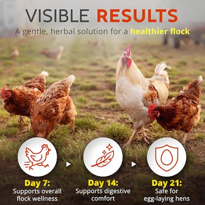 WormStop Natural Chicken Dewormer Powder – All-Natural Herbal Blend for Daily Wellness - Chicken Wormer is Safe for Eggs & All Ages - Garlic, Pumpkin Seed, Wormwood - USA (8 oz)