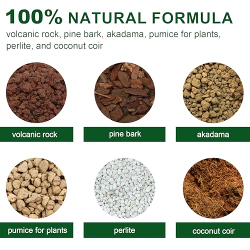 Doter Premium Bonsai Soil Mix with Enhanced Aeration & Drainage 1qt - Professional Grade Potting Soil for Bonsai Pots - color: Bonsai Soil, size: 1qt