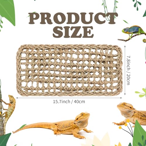 Silkfly 2 Pieces Large Bearded Dragon Hammock Lizard Reptile Climbing Lounger Seagrass Fiber Habitat Tank Accessories for Hermit Crab Gecko Snake Iguana(15.7 x 7.8 Inch,Rectangle,Brown) - color: as shown in the pictures, size: 15.7 x 7.8 Inch