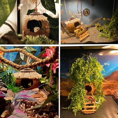 Gecko Coconut Hideout with Ladder,Reptile Hammock Plants Vines Jungle Terrarium Decor Tank Accessories for Crested Geckos,Leopard Geckos,Lizard,Snakes,Tree Frogs - style: 【Style D】