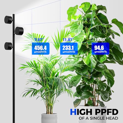 Barrina T1X3 Standing Grow Lights for Indoor Plant, 6FT 30W 5000K High PPFD | Vertical Plant Lights for Growing, Tall Plant, Adjustable 3 Heads, 6 Foot with Foot Switch, Full Spectrum, Heat Dissipation - size: 30W-6FT-3 Heads