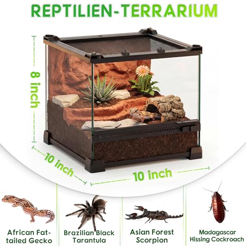10"x10"x8" Reptile Terrarium, Single-Door Glass Terrestrial Vivarium for Small Desert Reptiles Such as Juvenile Leopard Geckos, with Lock, Cable Port & Waterproof Deep Base Below Front Door
