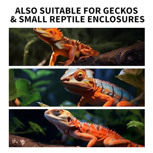 Bearded Dragon Tank Cleaning Kit – Reptile Enclosure Tool Set with Mini Dustpan, Brush, Scraper & Cleaning Cloth for Lizard & Gecko Terrarium Maintenance