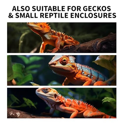 Bearded Dragon Tank Cleaning Kit – Reptile Enclosure Tool Set with Mini Dustpan, Brush, Scraper & Cleaning Cloth for Lizard & Gecko Terrarium Maintenance