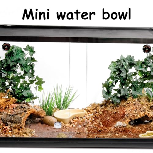 6 Pcs Spider Mini Water Bowl Tarantula Micro Ceramic Water Dish for Spider Tarantula Millipede Tiny Reptile Scorpion Cricket Snail Manti Bugs