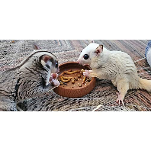 Exotic Nutrition Dried Insect 3 Pack - Crickets, Grasshoppers, Mealworms - for Sugar Gliders, Hedgehogs, Wild Birds, Chickens, Turtles, Tropical Fish, Reptiles