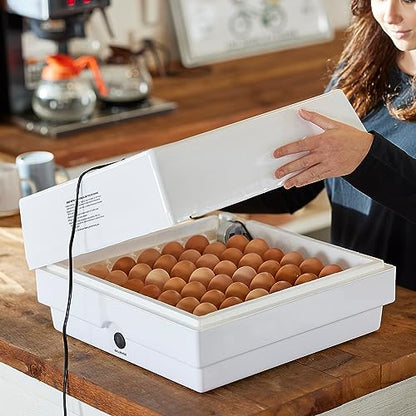 Farm Innovators 4250 Digital Circulated Air Incubator with Egg Turner | 4 dozen egg capacity; auto turner; integrated fan; digital display w/temperature, humidity, days to hatch; large window; 40W