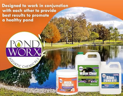 Pondworx Pond Bacteria - Formulated for Water Features and Safe for Koi (4 Gallon Value Pack) - size: 4 Gallon Value Pack