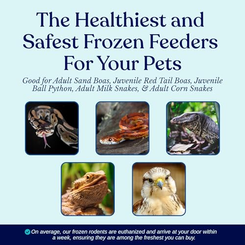 Frozen Large Adult Feeder Mice Food for Adult Ball Pythons Juvenile Red Tale Boa Monitors Lizards (10 Count) - size: 3-3.25 Inches (Pack of 10)