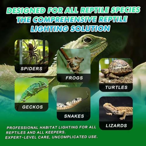 5.5 Inch Shallow Dome Reptile Lamp Fixture, Suitable for UVB Bulbs and Basking Heat Bulbs, Max 160W.