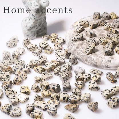 Dalmatian Jasper Chips Bulk 1lb, 600+ Pieces, 0.4-0.9in Natural Stones - color: Dalmatian Jasper, size: 1LB