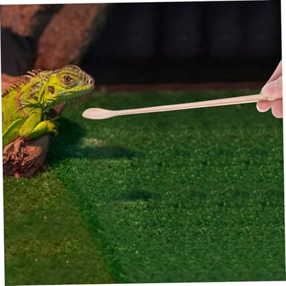 2pcs Reptile Food Spoon Long Handle Feeding Tool for Lizards and Small Pets Stainless Steel Design for Easy Feeding and Convenience - color: Golden