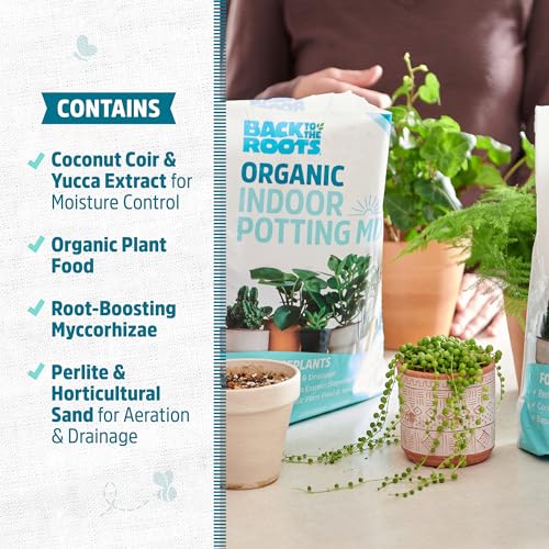 Back to the Roots 100% Organic Indoor Potting Mix (Value 12 Quart) | Promotes Healthy Houseplant Growth| Made in The USA - size: 12 Quart, style: Indoor Soil