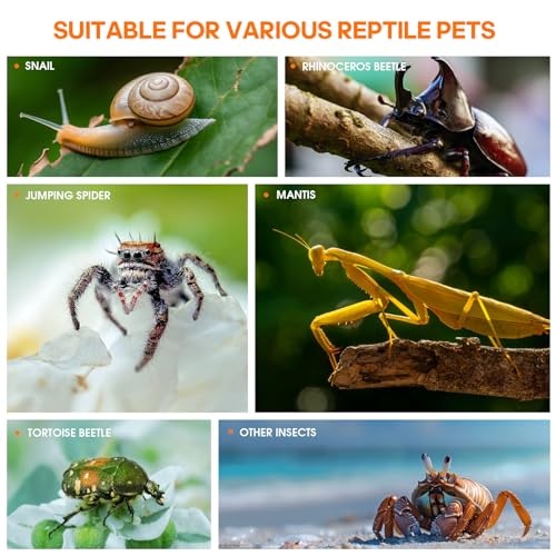 Jumping Spider Enclosure, Insect Terrarium, Bug Cage, Acrylic Terrarium for Tarantula, Snail, Praying Mantis, Frog, and Small Reptiles (4.7" x 4.3" x 7.8") - size: 4.7" x 4.3" x 7.8"