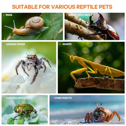 Jumping Spider Enclosure, Insect Terrarium, Bug Cage, Acrylic Terrarium for Tarantula, Snail, Praying Mantis, Frog, and Small Reptiles (4.7" x 4.3" x 7.8") - size: 4.7" x 4.3" x 7.8"