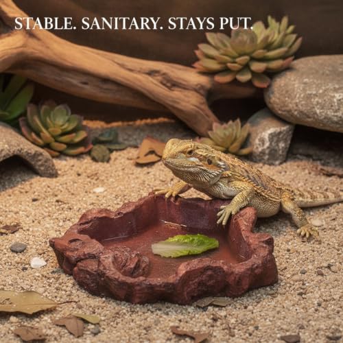Red Resin Reptile Feeding Bowl, Heavy Weighted Water Dish for Terrariums, Low Profile Food Station for Lizards Turtles Snakes, 3.5 x 2.4 Inches