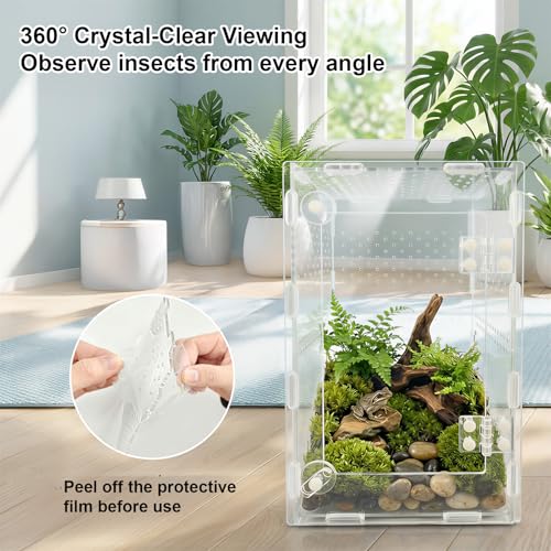 Jumping Spider Enclosure, Acrylic Terrarium for Tarantula & Reptiles, Front Opening Door Habitat for Spiders, Mantis, Frogs & Lizards (10x6x6 Inch)