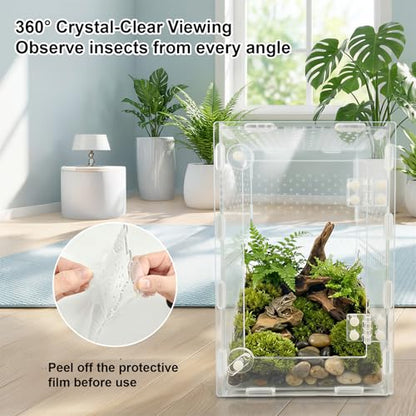 Jumping Spider Enclosure, Acrylic Terrarium for Tarantula & Reptiles, Front Opening Door Habitat for Spiders, Mantis, Frogs & Lizards (10x6x6 Inch)
