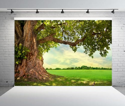 5x3ft Huge Tree Backdrop Rural Field Scenery Photo Props | Spring Summer Natural Countryside Outdoor Fence Decor Picnic Background Wedding Art Portraits Photo, Polyester - size: 5x3ft