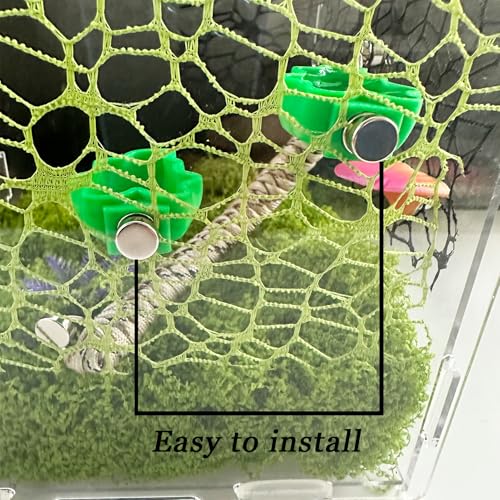 2 PCS Jumping Spider Feeding Dish, Leaf Shape Tiny Food Dishes Water Bowl with 1PC Tweezer and 1PC Dropper for Jumping Spider, Tarantula and Other Small Pets
