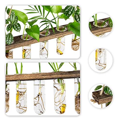 3 Tier Wall Hanging Propagation Stations with 15 Glass Test Tubes, Plant Terrarium Propagation Tubes Planter for Hydroponic Cuttings, Window Decor Gift for Plant Lovers