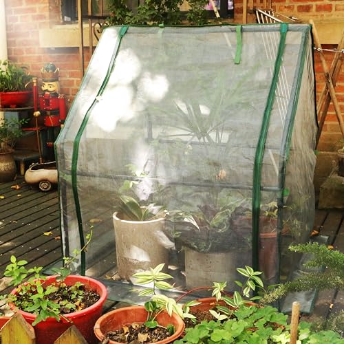 Gardzen Mini Greenhouse with Zipper Mesh Cover 36.2"(L) x36.2(W) x42.5(H) | Steel Frame Portable Outdoor Greenhouse, Enhanced Ventilation, Ideal for Spring, Summer & Fall - size: 36”(L) x36”(W) x42”(H)