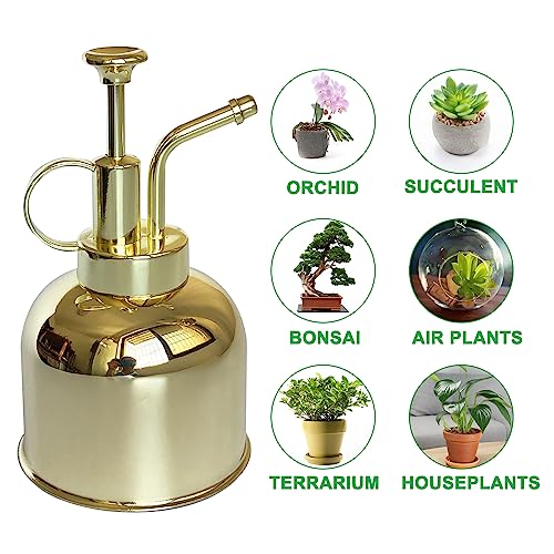 Stainless Steel Plant Sprayer, Small Watering Can Modern Gardening Tool for Indoor Potted Plants Watering and Spraying - color: 10oz/Gold color