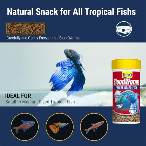 Tetra BloodWorms Freeze-Dried Fish Food Dietary Supplement, 0.25 oz | Feed 2-3 times Per Week In Addition to Daily Diet, Provides Protein & Boosts Energy, For Tropical Freshwater & Saltwater Fish - size: 0.25 Ounce (Pack of 1)
