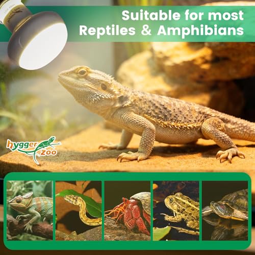 Reptile Heat Lamp Bulbs 75W (2-Pack) – Efficient Heating & Simulated Sunlight Basking Light for Amphibians, Bearded Dragon, Lizard, Turtle, Chicken – E26 Base - color: White, size: 75W