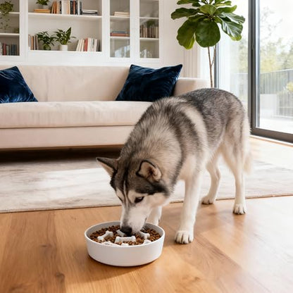 Ceramic Slow Feeder Dog Bowls, Ceramic Slow Feeder Maze Dog Food Bowl, Slow Eating Dog Bowl and Slow Feeder Dog Bowl Anti-Choking for Daily Pet Feeding （White Bone） - color: White Bone