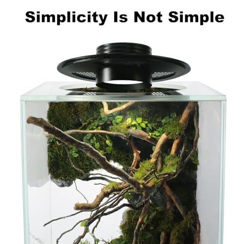 Desktop Glass Plant Terrarium with Grow Light for Carnivorous Plants & Moss | L7.8 x W7.8 x H14 in; Timer Auto On/Off; Succulent Display; Miniature Gardening; Indoor Decor; Gift for Plant Lovers.