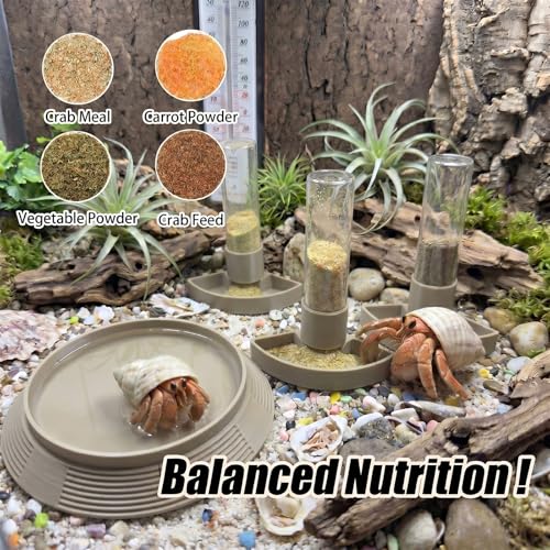 4-in-1 Hermit Crab Feeding Station - Integrated Nutrition and Hydration Center，3D-Printed Tank Accessories Made from Safe Materials, Suitable for Hermit Crabs and Small Reptiles. - color: Wood Tone