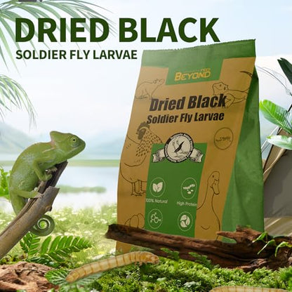 BeyondFeed™ Dried Black Soldier Fly Larvae - Nutrient-Rich, Sustainable Feed for Chickens, Ducks, Birds, Reptiles, Fish, Hamster, Turtles and More (1 Bottle (35g/ 1.23oz)) - size: 11 Ounce (Pack of 1)