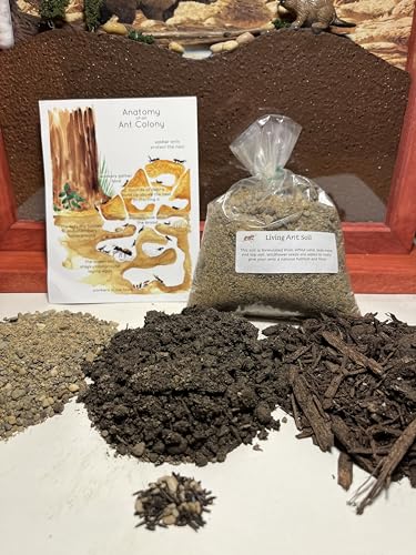 Premium Ant Farm and Terrarium Soil Mixture (Sand, Topsoil, Peat) 1 Pound Bag