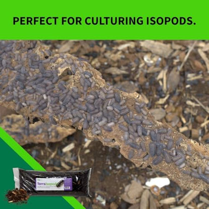 The Bio Dude Terra Isopoda Isopod Bioactive Substrate - 6 quarts - Great for Millipedes, Centipedes, Springtails, Isopod culturing and Keeping. High in Calcium and Trace Elements for Clean up Crew