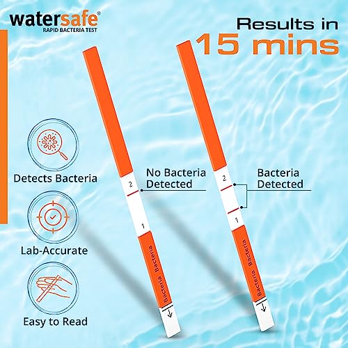 Pool and Spa Rapid Bacteria Test by Watersafe, Test Strips to Detect Down to 1 Bacteria/μL in 15 Minutes, Including E. coli and Salmonella, Single Test