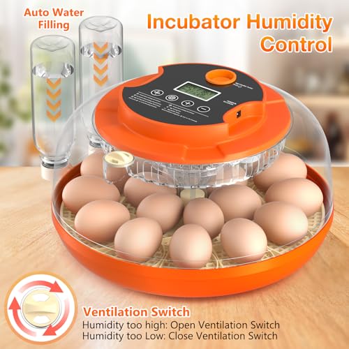 Egg Incubators for Hatching Eggs, 18 Egg Incubator with Automatic Egg Turning and Humidity Control Incubator for Chicken Duck Quail Home Lab - size: O-18H
