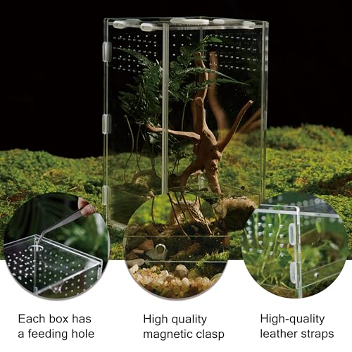Acrylic Clear Reptile Habitat Enclosure Terrarium with Latch ，Perfect for Amphibians and Invertebrates Such as Spiders, Frogs, etc (Vertical)