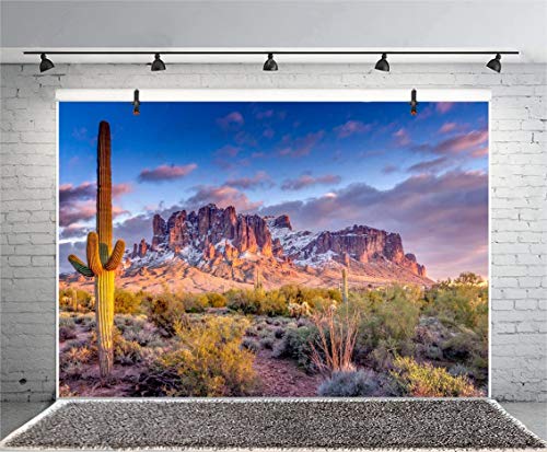 Leyiyi 5x3ft Arazona Mountain Cactus Photography Background Desert Sunset Summit Western American Travel Hiking Desert Flora Cloud Desolate Cowboy Polyester Backdrop Terrarium Background - color: Desert1, size: 5x3ft-P