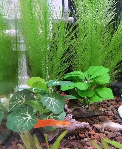 M2cbridge Plastic Fish Tank Plants Soft Silk Water Grass Reptile Waterweed for Terrarium Decor Plants and Aquarium Landscape(4pcs,8") - size: 4pcs,8"