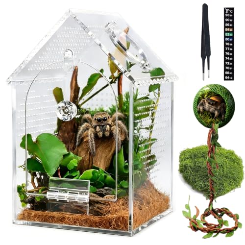 Jumping Spider Enclosure Kit Acrylic Terrarium No Assembly Required | Escape-proof Ventilated Habitat for Spiderlings, Front & Feeding Magnetic Doors, 360° Clear Acrylic for Easy Observation