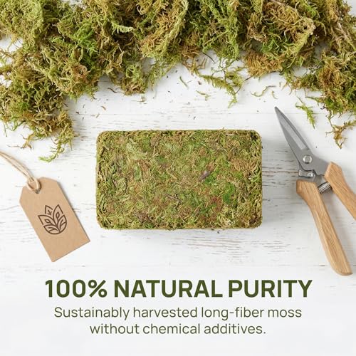 2.5 LB Sphagnum Moss for Plants, Long Fiber Orchid Moss for Carnivorous Plants, Terrariums and Indoor Potting, Compressed Sphagnum Bricks.