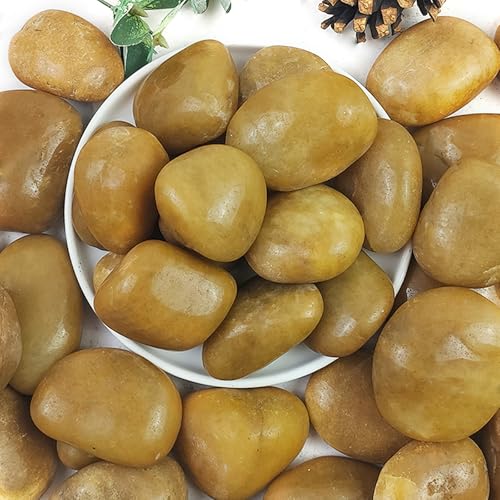 Rocks for Plant 5lbs, Yellow River Rocks 2-3 Inch Natural Pebbles for Indoor Plants, High Polished Decorative Stones Vase Filler Fish Tank Aquariums Landscaping Garden - color: Yellow, size: 5 Pounds