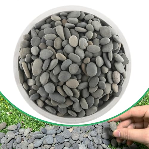 2.4LB River Rocks Mexican Beach Pebbles for Garden Landscape Stone Paving Stone Grey (1Inch) - size: 2.4LB, style: Medium