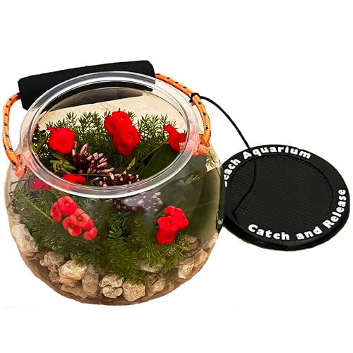Dry Branch Sports Design Catch and Release Beach Aquarium Kit , Clear