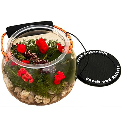 Dry Branch Sports Design Catch and Release Beach Aquarium Kit , Clear
